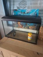 Aquarium HS Aqua L 59 x B 30 x H 38 cm + paar accessoires, Ophalen, Gebruikt