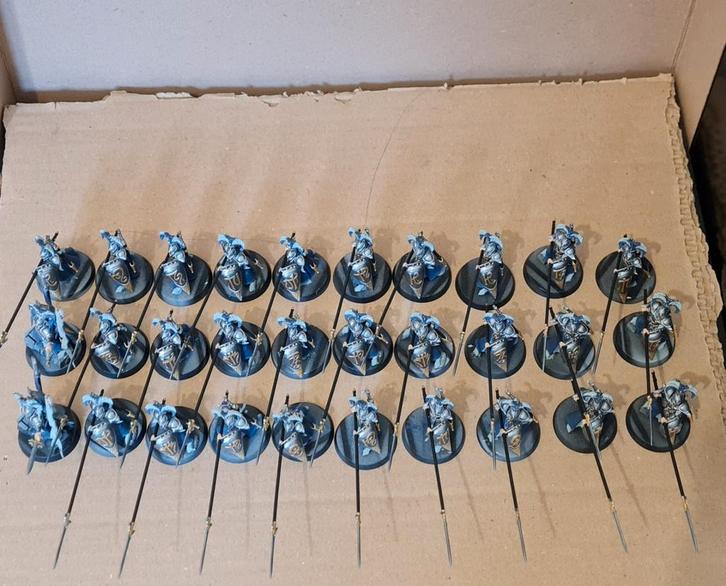 Geschilderde Age of Sigmar 30x Vanari Auralan Wardens, Hobby en Vrije tijd, Wargaming, Nieuw, Warhammer, Ophalen of Verzenden