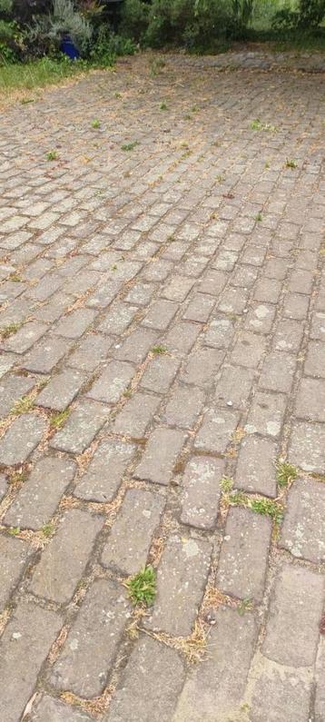 gratis straatklinkers beschikbaar voor biedingen
