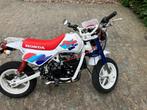 Honda Monkey Baja Replica 125cc, Motoren, Motoren | Honda, Particulier