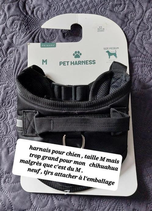 harnais pour chien - taille M - neuf, Animaux & Accessoires, Autres accessoires pour animaux, Neuf, Enlèvement
