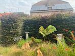 Gratis Heg!, Tuin en Terras, Ophalen
