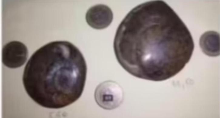 AMMONIET - 2 samen voor 14 euro !, Verzamelen, Mineralen en Fossielen, Fossiel, Ophalen of Verzenden