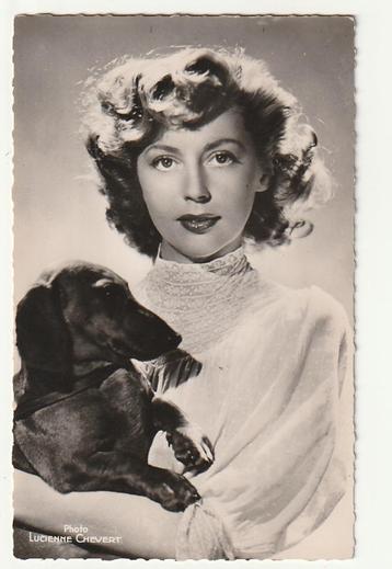 Franse actrice Anne VERNON met haar teckelhond beschikbaar voor biedingen
