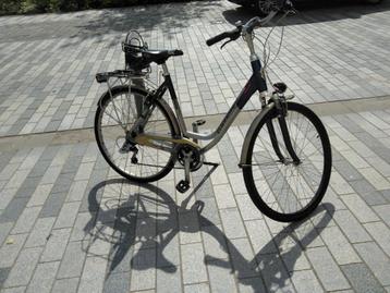 Gazelle Medeo beschikbaar voor biedingen