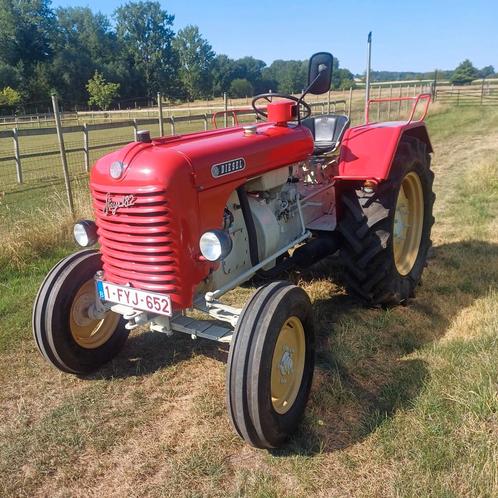 Steyr n182a, Zakelijke goederen, Landbouw | Tractoren, Steyr, Oldtimer, Ophalen