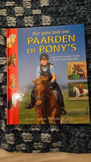 Verschillende boeken over paarden