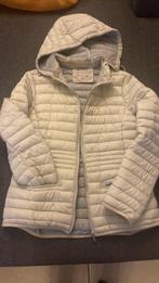 Veste cassis T40, Kleding | Dames, Jassen | Winter, Ophalen of Verzenden