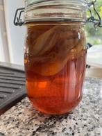 starter en scoby kombusha, Enlèvement ou Envoi