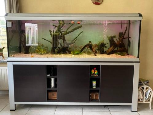 ferplast star 200 aqarium, Dieren en Toebehoren, Vissen | Aquaria en Toebehoren, Gebruikt, Gevuld zoetwateraquarium, Ophalen