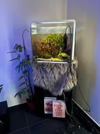 Aquarium met accessoires, Enlèvement, Comme neuf