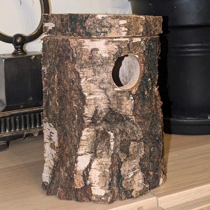 Vogelnest, Dieren en Toebehoren, Vogels | Hokken en Kooien