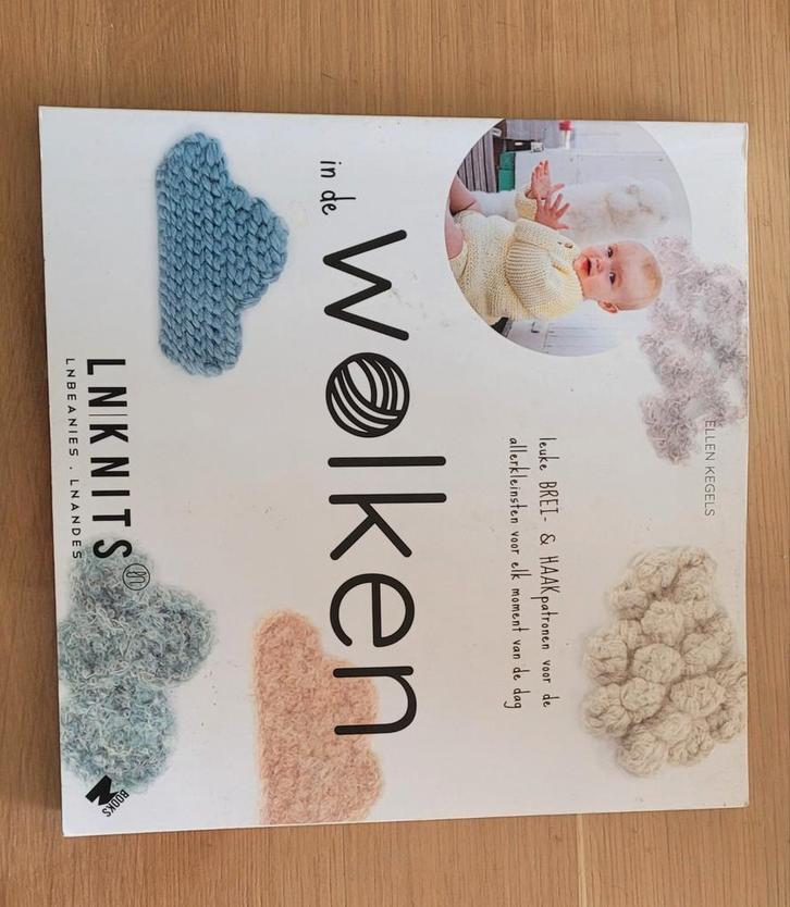 Ellen Kegels - In de wolken, Boeken, Hobby en Vrije tijd, Zo goed als nieuw, Ophalen of Verzenden