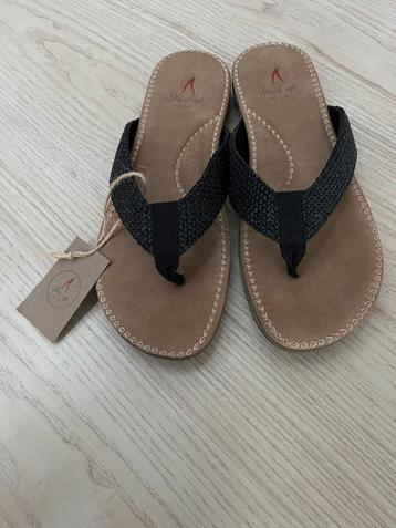 Slippers - Spice up your walk - Maat 40 - Nieuw beschikbaar voor biedingen
