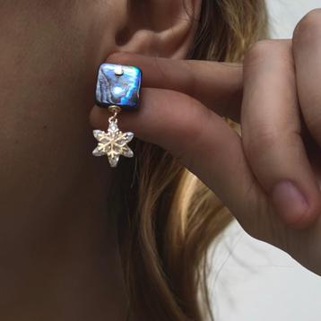 Boucles d'oreilles en coquillage d'ormeau, Boucles d'oreille, Enlèvement ou Envoi, Neuf, Vert, Pendantes
