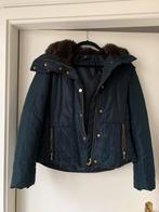 Donkerblauwe winterjas h&m maat 36, Kleding | Dames, Jassen | Winter, H&M, Blauw, Ophalen of Verzenden, Maat 36 (S)