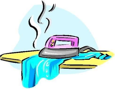 Strijkhuis merel, Diensten en Vakmensen, Huishoudhulp, Strijken