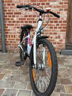 Falter Kinderfiets FX403 (20 EUR), Fietsen en Brommers, Ophalen, Gebruikt, 20 inch of meer, Falter