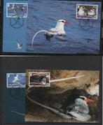 Cartes les animaux du monde : les oiseaux, Ophalen of Verzenden, 1980 tot heden, Gelopen, Vogel