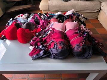 Idéal pour les ventes en ligne. Soutiens-gorge Prima Donna a, Enlèvement ou Envoi, Soutien-gorge