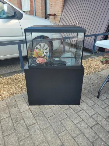 Aquarium met onderstel  beschikbaar voor biedingen