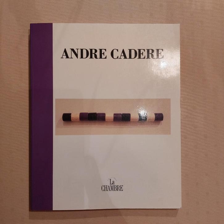 André CADERE All walks of life Conceptual Contemporary Art, Boeken, Kunst en Cultuur | Beeldend, Zo goed als nieuw, Beeldhouwkunst