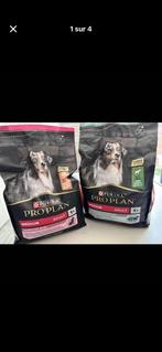 Lot de croquettes chien purina, Enlèvement ou Envoi, Chien