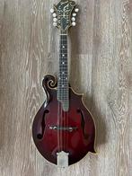 Ibanez lawsuit mandoline model 526, Muziek en Instrumenten, Snaarinstrumenten | Mandolines, Ophalen, Gebruikt