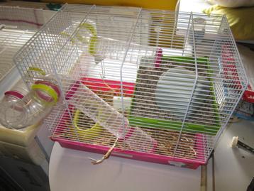 Cage hamster Adam D, Animaux & Accessoires, Enlèvement, Utilisé, Cage, Hamster