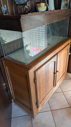 Aquarium + meubilair + pompen + accessoires, Ophalen, Gebruikt, Leeg aquarium