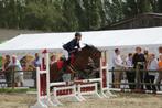 Ruiter gezocht, Dieren en Toebehoren, Paarden, Hengst