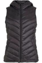 Zwarte gilet maat 38 gevoerd, Vêtements | Femmes, Blousons sans Manches, Envoi, Porté, Taille 38/40 (M), Noir