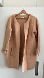 Gilet oudroze L + sjaal, Kleding | Dames, Ophalen of Verzenden, Zo goed als nieuw