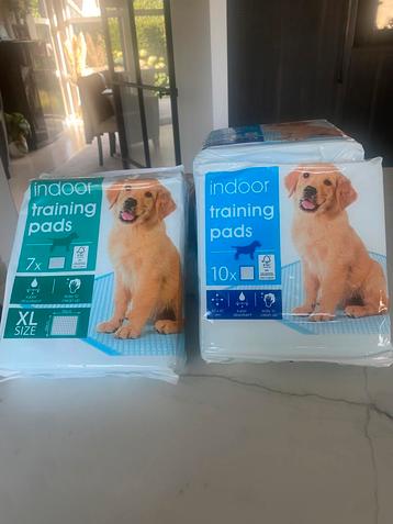Indoor training pads pups beschikbaar voor biedingen
