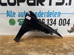 VOLKSWAGEN GOLF 8 ZIJSCHERM SPATBORD ORGINEEL, Auto-onderdelen, Ophalen of Verzenden, Gebruikt, Volkswagen, Spatbord