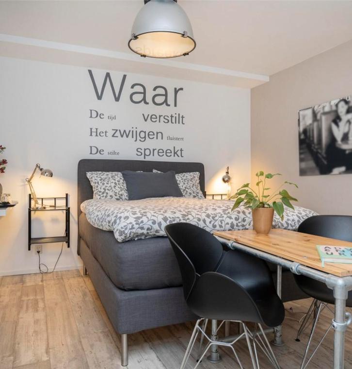 3 prachtige plafondlampen in industriële stijl, Huis en Inrichting, Lampen | Plafondlampen, Zo goed als nieuw, Metaal, Ophalen