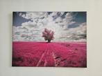 Fotobord 80x60 (roze veld), Ophalen, 50 tot 75 cm, Zo goed als nieuw, 75 tot 100 cm