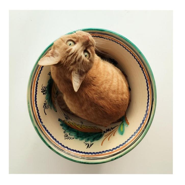 Grote pot/kom in  portugees keramiek, Antiek en Kunst, Antiek | Keramiek en Aardewerk, Ophalen