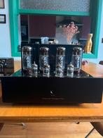 Primaluna prologue four, Enlèvement, Amplificateur