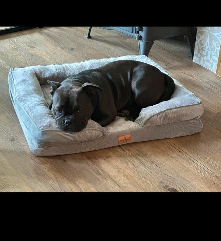 Honden kussen - Orthopedisch & Uitwasbaar ze zijn nieuw, Dieren en Toebehoren, Hondenmanden, Ophalen