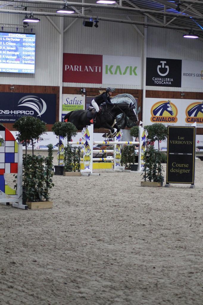 Trainen, doorrijden, zadelmak maken van uw paard, Dieren en Toebehoren, Paarden, Zadelmak
