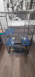 Metalen kooi voor knaagdieren, Dieren en Toebehoren, Knaagdieren en Konijnen | Hokken en Kooien, Ophalen, Zo goed als nieuw, Kooi