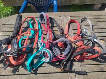 7 halsters maat full  beschikbaar voor biedingen