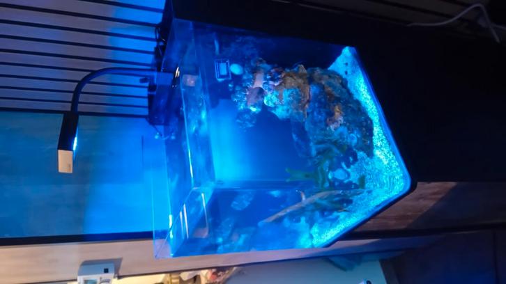 Zeeaquarium Blue Marin, Dieren en Toebehoren, Vissen | Aquaria en Toebehoren, Zo goed als nieuw, Ophalen