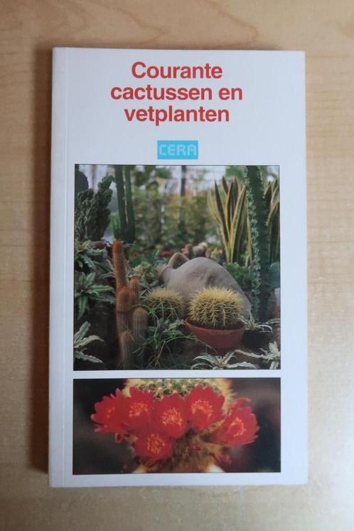 Boek : Courante cactussen en vetplanten, Boeken, Wonen en Tuinieren, Gelezen, Kamerplanten, Ophalen of Verzenden