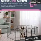 hondenren NIEUW vanaf 75€, Enlèvement ou Envoi, Neuf