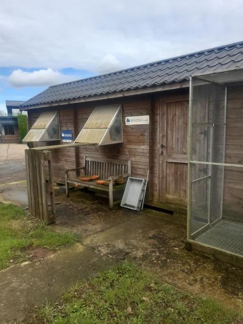 Duivenhok te koop, Dieren en Toebehoren, Vogels | Duiven