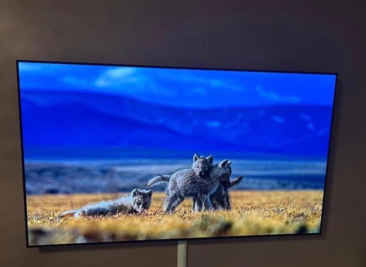 LG OLED65CX6LA – 65 inch OLED TV, Audio, Tv en Foto, Televisies, OLED, 100 cm of meer, 4k (UHD), LG, 100 Hz, Ophalen of Verzenden