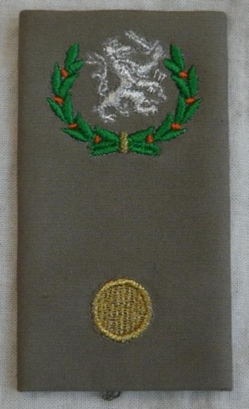 Rang Onderscheiding Regenjas Bataljons Adjudant, KL, va 2000, Collections, Objets militaires | Général, Armée de terre, Enlèvement ou Envoi