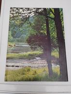 10 arties boeken over de natuur per boek 3 euro kleur versch, Antiek en Kunst, Kunst | Schilderijen | Klassiek, Ophalen